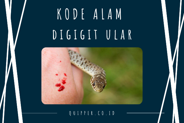 Kode Alam Togel Patok Ular